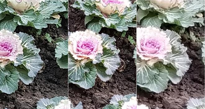 翱捷科技亮相MWC2025：智能穿戴产品优势凸显(图4)