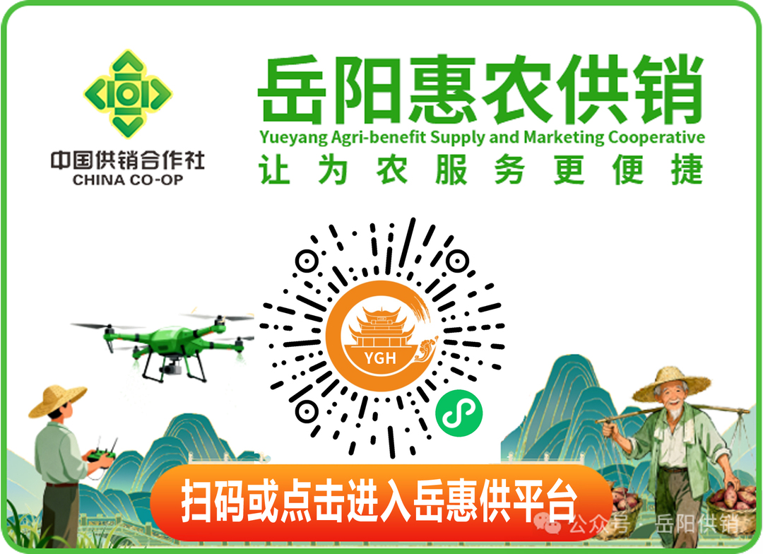 解码2026“国补”新政：撬动数码活力赋能家电升级(图1)