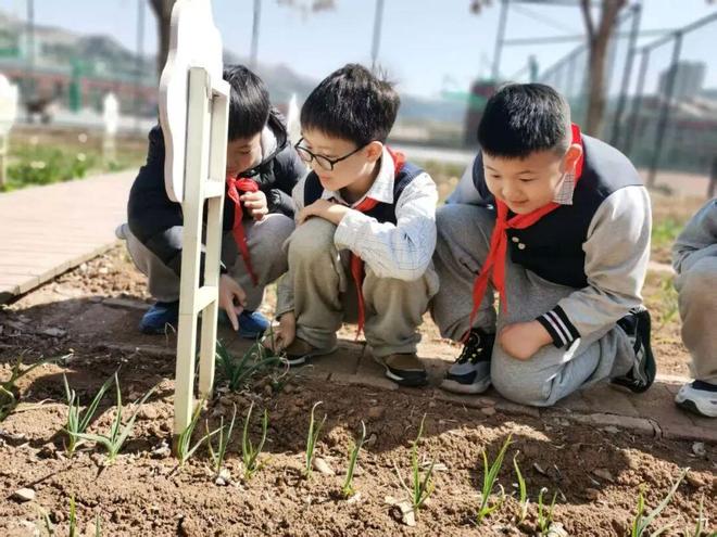 三个关键词看济南市中教育如何落实“健康第一”(图9)