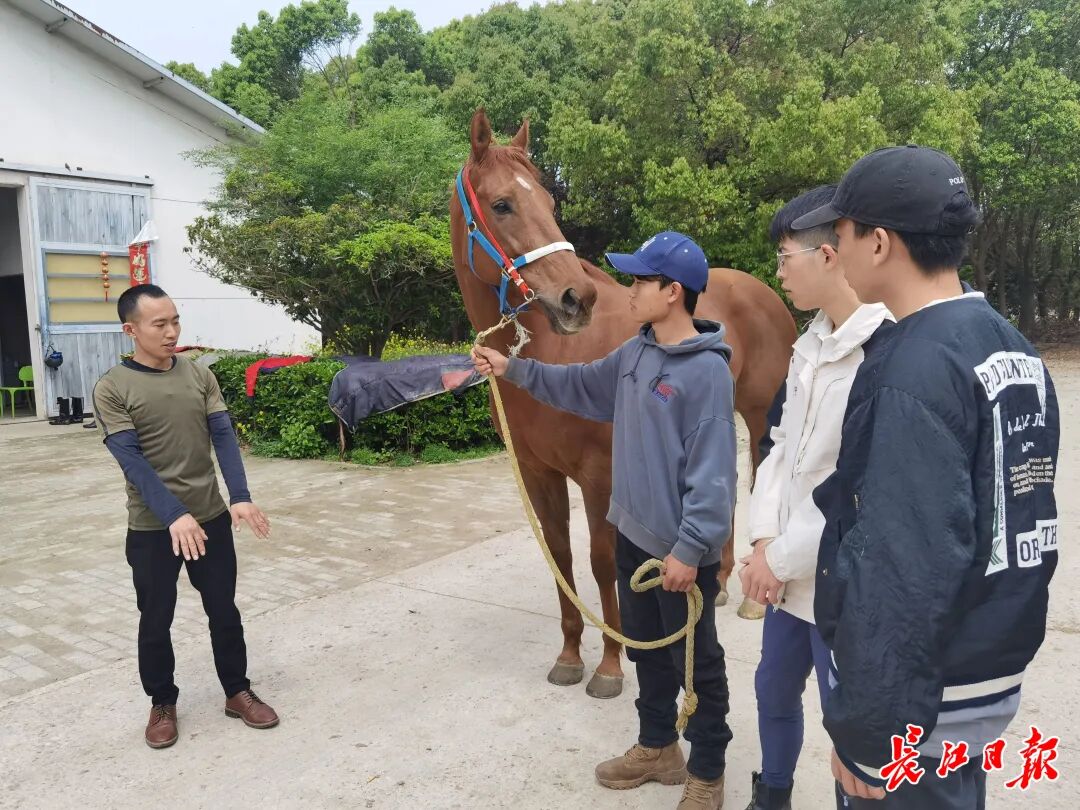 一堂课400元有人驱车50公里来上！武汉“马上”消费火了(图4)