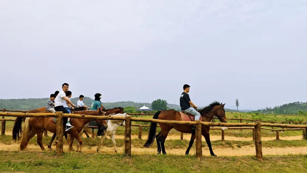 一堂课400元有人驱车50公里来上！武汉“马上”消费火了(图3)